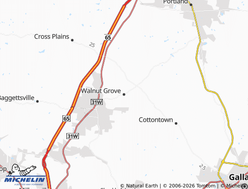 Mapa MICHELIN Walnut Grove - ViaMichelin