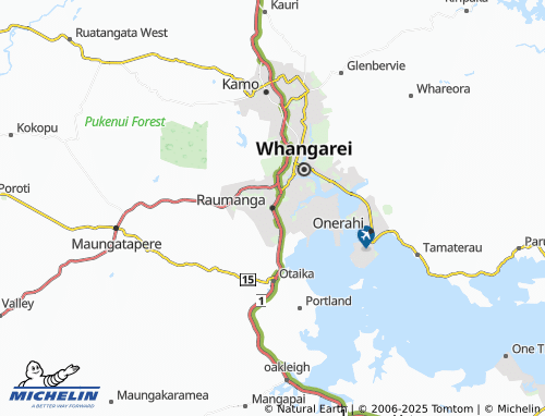 MICHELIN Raumanga map - ViaMichelin