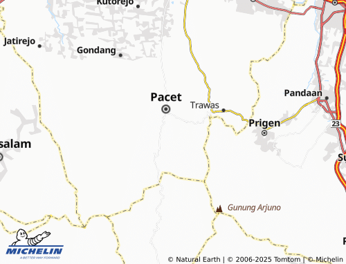 MICHELIN Padusan map - ViaMichelin