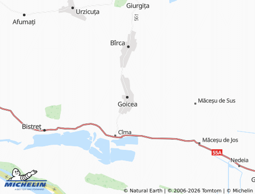 Carte MICHELIN Goicea - ViaMichelin