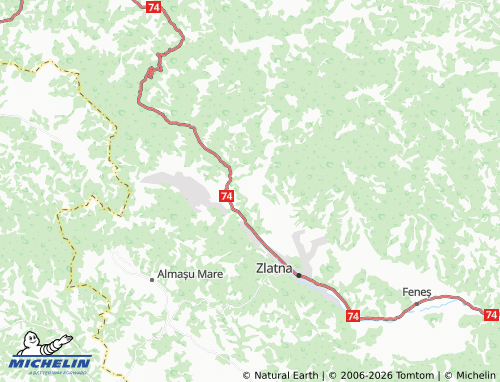 Mappa MICHELIN Pârau Gruiului - ViaMichelin