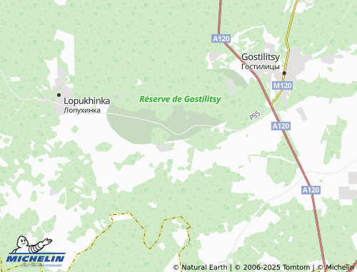 MICHELIN Zaostrov'ye map - ViaMichelin