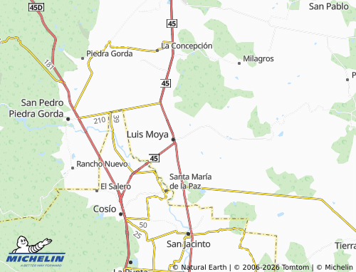 MICHELIN Las Flores map - ViaMichelin