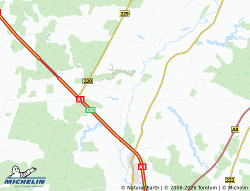 Mappa MICHELIN Panevėžiukas - ViaMichelin