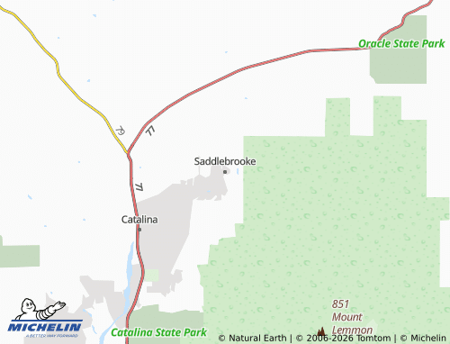 Carte MICHELIN Saddlebrooke - ViaMichelin