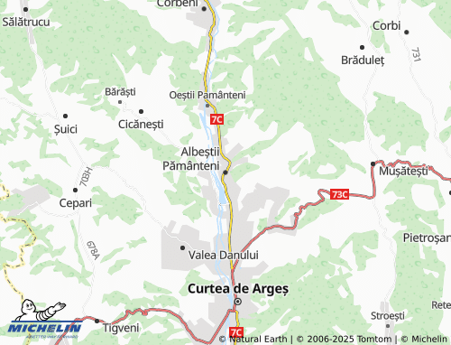 MICHELIN Albeștii Pământeni map - ViaMichelin