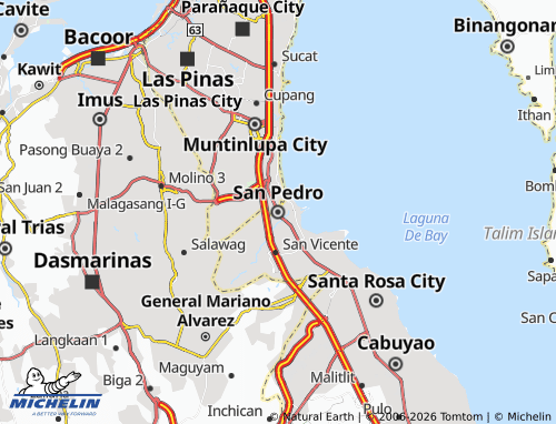 MICHELIN San Pedro map - ViaMichelin