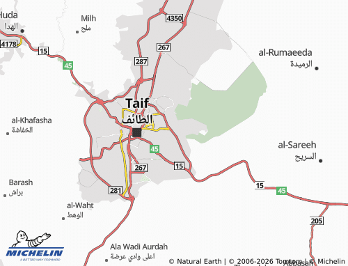 Carte MICHELIN al-Naseem - ViaMichelin