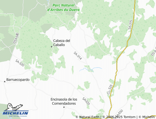 MICHELIN Valsalabroso map - ViaMichelin