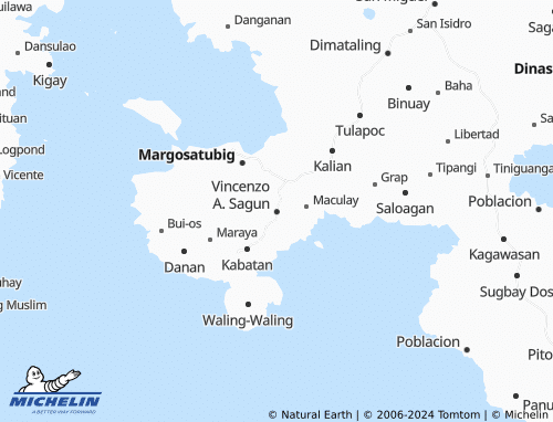 MICHELIN Cogon map - ViaMichelin