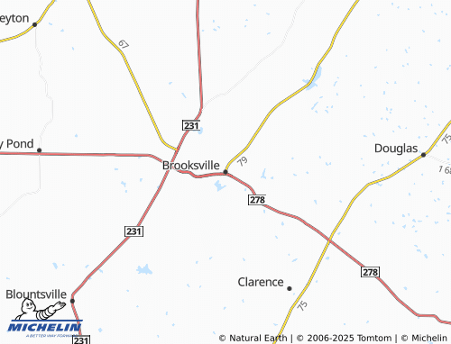 MICHELIN Brooksville map - ViaMichelin