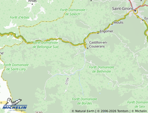 Mappa MICHELIN Salsein - ViaMichelin