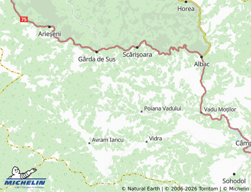 MICHELIN Costești map - ViaMichelin