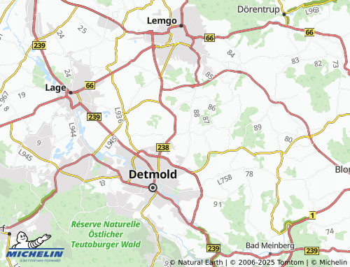 Mapa MICHELIN Dehlentrup - ViaMichelin
