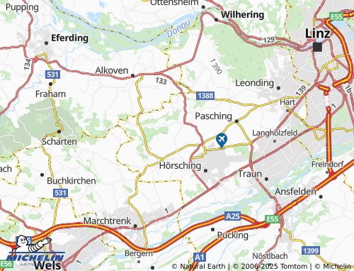 Carte MICHELIN Niederbuch - ViaMichelin