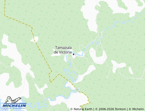 Carte MICHELIN Ejidal - ViaMichelin