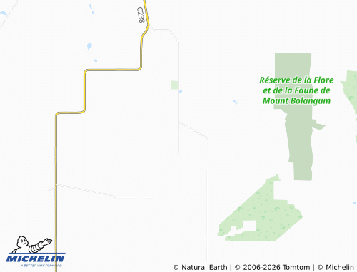 Mapa MICHELIN Wallaloo East - ViaMichelin