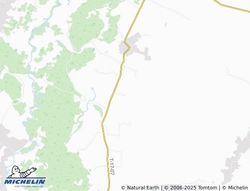 MICHELIN Kozlivshchyna map - ViaMichelin