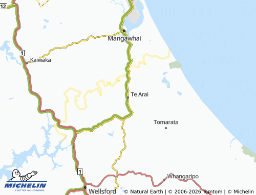 Mapa MICHELIN Te Arai - ViaMichelin