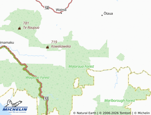 Mapa MICHELIN Mataraua Forest - ViaMichelin