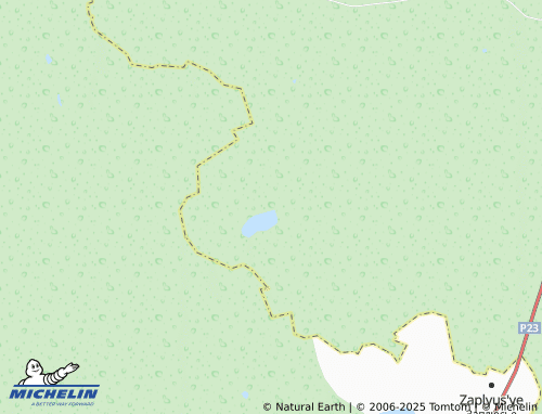 MICHELIN Bol'shiye Ozertsy map - ViaMichelin