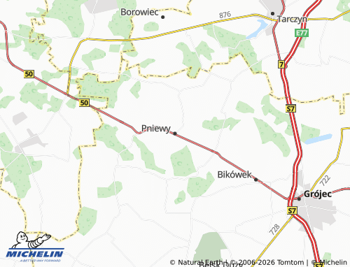 Carte MICHELIN Pniewy - ViaMichelin
