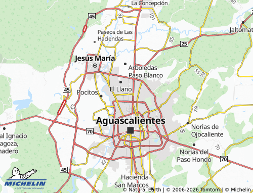 Carte MICHELIN Jardines de La Concepción II - ViaMichelin