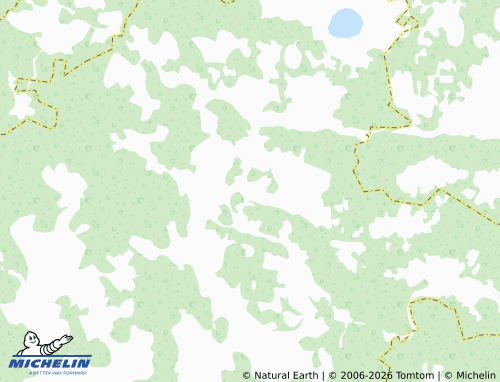 Carte MICHELIN Bol'shaya Bogdanikha - ViaMichelin