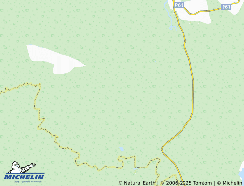 MICHELIN Lositsy map - ViaMichelin