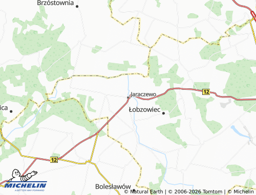 MICHELIN Jaraczewo map - ViaMichelin