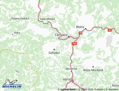 MICHELIN Vlădoșești map - ViaMichelin