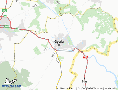 MICHELIN Gyula map - ViaMichelin