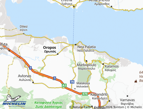 Mapa MICHELIN Nea Politeia - ViaMichelin