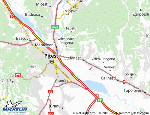 MICHELIN Ștefăneștii Noi map - ViaMichelin
