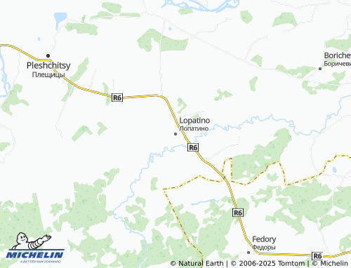 MICHELIN Lopatino map - ViaMichelin