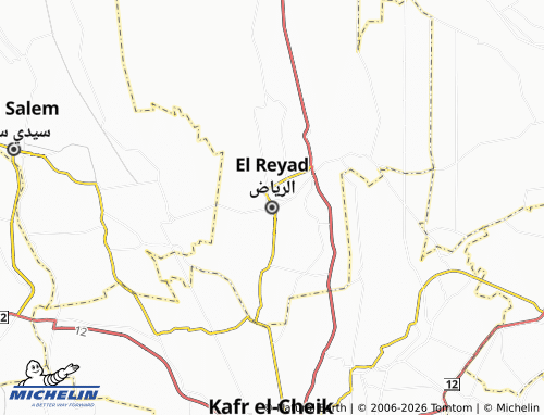 Mapa MICHELIN El Reyad - ViaMichelin