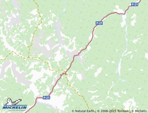 MICHELIN Vyshkiv map - ViaMichelin