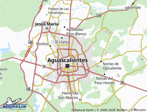 MICHELIN CTM map - ViaMichelin