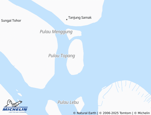 MICHELIN Topang map - ViaMichelin