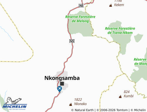 MICHELIN Bare map - ViaMichelin
