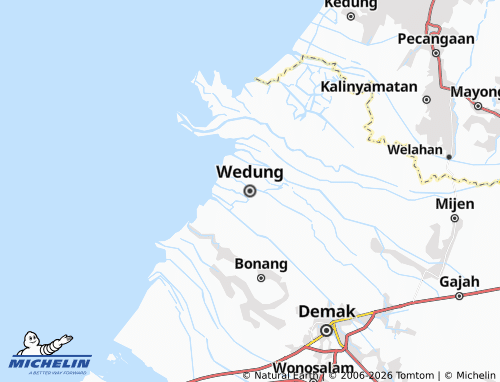 Carte MICHELIN Wedung - ViaMichelin