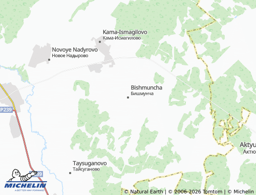 MICHELIN-Landkarte Bishmuncha - ViaMichelin