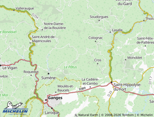 MICHELIN Saint-Roman-de-Codières map - ViaMichelin