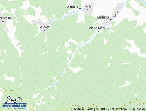 Mappa MICHELIN Văleni-Stânișoara - ViaMichelin