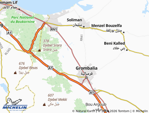 Mappa MICHELIN Toutah - ViaMichelin
