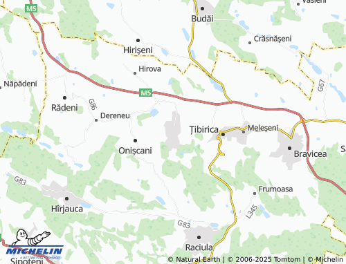 MICHELIN Hoginești map - ViaMichelin