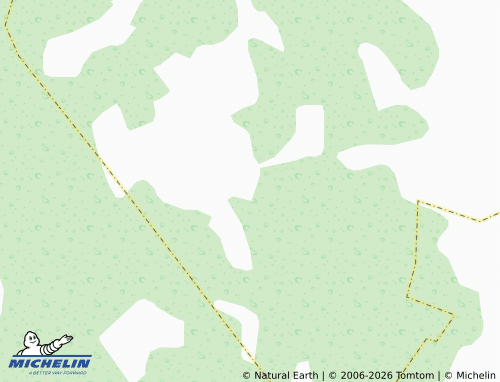 MICHELIN-Landkarte Lesnoy - ViaMichelin
