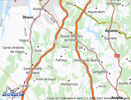 MICHELIN Nariz map - ViaMichelin