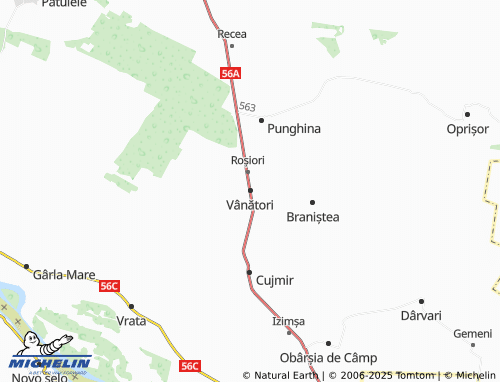 MICHELIN Vânători map - ViaMichelin
