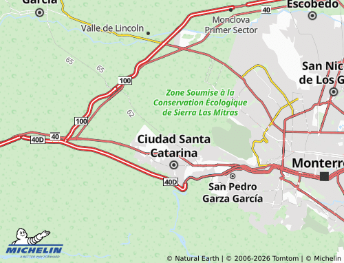 MICHELIN-Landkarte Rincón de Las Palmas - ViaMichelin